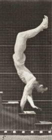 Plate 368 Acrobat descending stairs on hands — figure reference